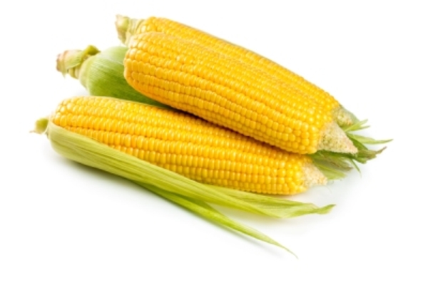 Order your PolyNPlus™ Maize now to aid late summer cob fill
